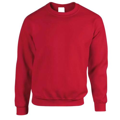 Men blank sweatshirt - men's,