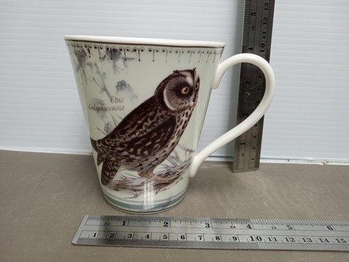 Aynsley ornithological studies - ornithological,