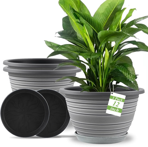 Pack inch pots for - inch,