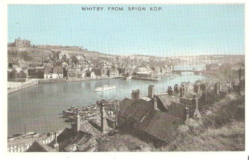 Ce0178 whitby viev - whitby, from