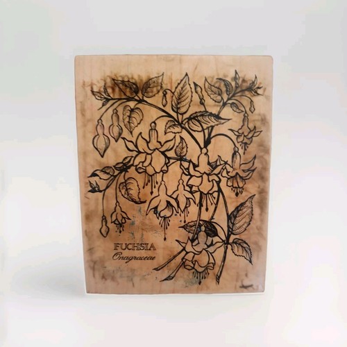 Psx botanical fuchsia floral - botanical,