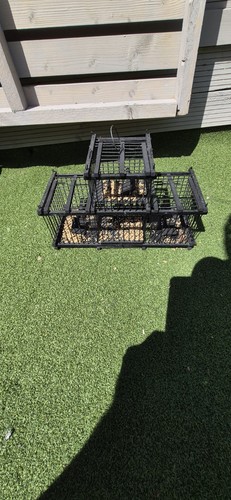 Tripple aviary trap - aviary,