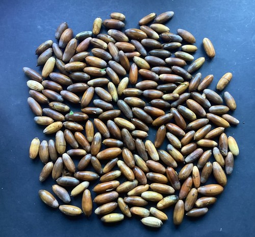 Large quantity best - best., quality