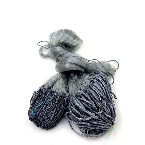Fishing net fish - fishing,