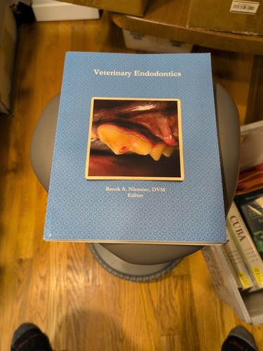 Veterinary endodontics - veterinary,
