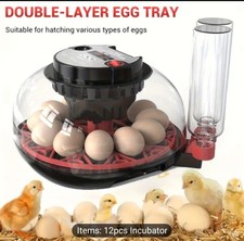 12pcs Incubator with Humidity