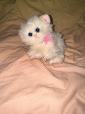 Tyco Vintage 90's Kitty