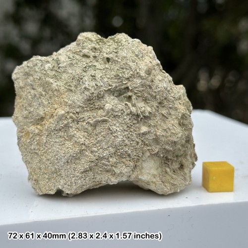 Osmington oolite jurassic - oolite,,