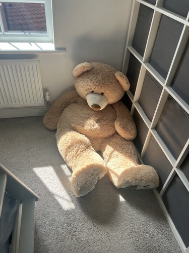 Giant teddy bear - giant,