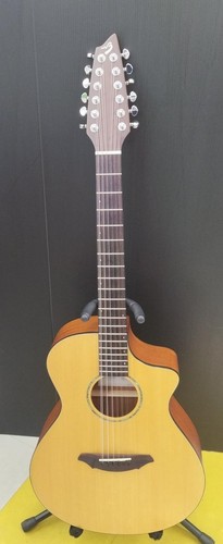 Breedlove ac250 electric - breedlove,