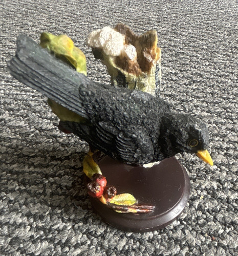 Country bird collection - country,