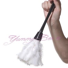 Feather duster fancy - fancy, dress