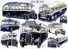 Royal Blue Dorset  The Royal