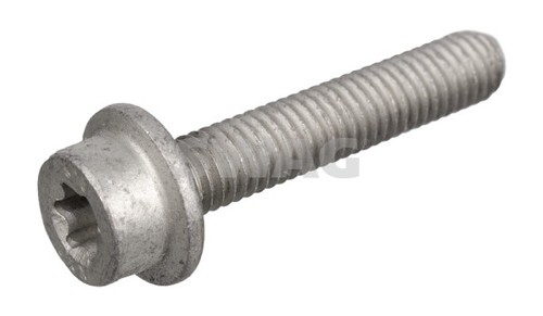 Swag 6395 screw plug - 10,
