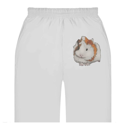 Guinea pig pup adult - pig,
