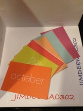 Collectible Studio Calico