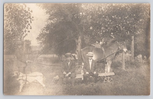 Postcard rppc boys with dog - rppc,
