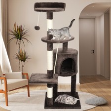 Multilevel cat tree - cat, scratching