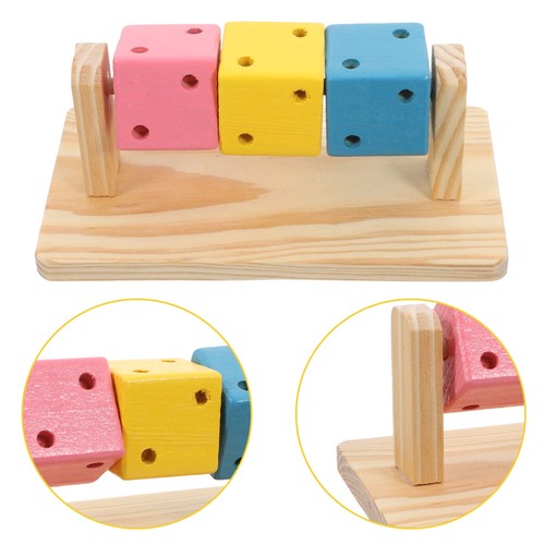 Enrichment toys rat - enrichment,