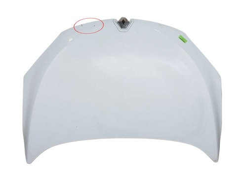 651009018r front bonnet - front,