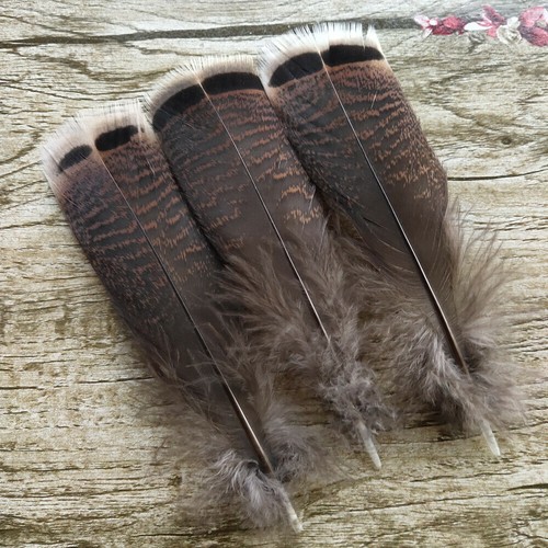 Wholesale 200pcs beautiful - 50-200pcs,