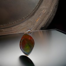 Green orange Ammolite Fossil