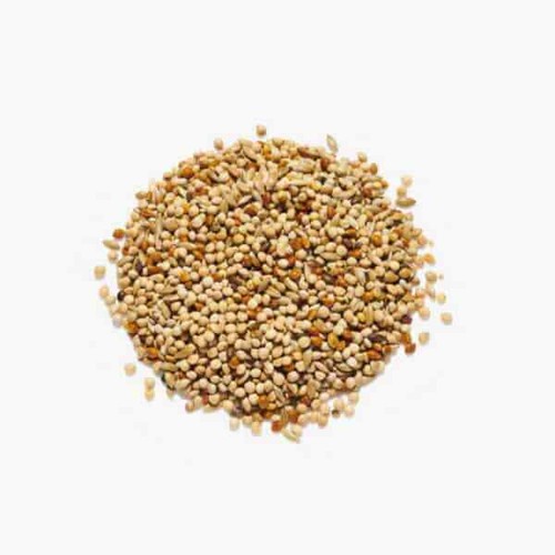 Special budgie seed - budgie, mix