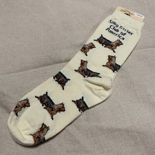 Silky Terrier Club of America