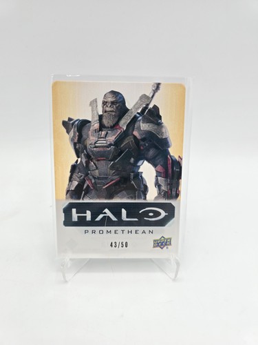 2024 halo legacy collection - 2024,