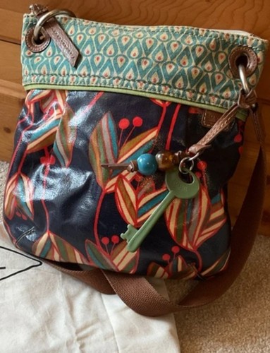 Sale fossil shoulder - shoulder, or