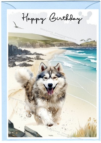 Alaskan malamute dog - dog, 6")