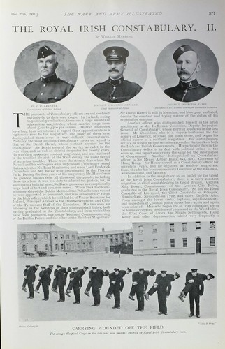 1902 print royal irish - print,