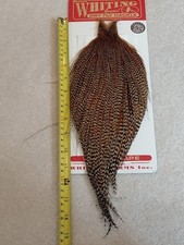 Whiting Bronze CREE CAPE