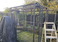 Macaws/Amazon /African grey