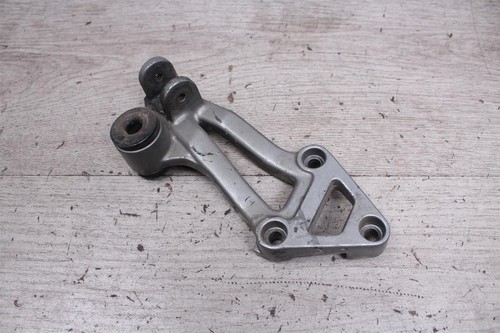 Footpeg system passenger rear - footpeg,