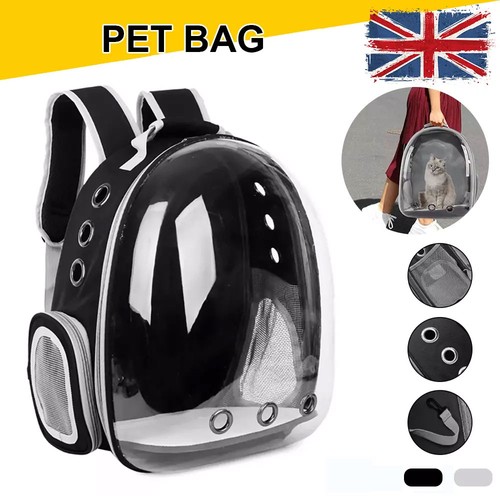 Astronaut window dog cat - astronaut,