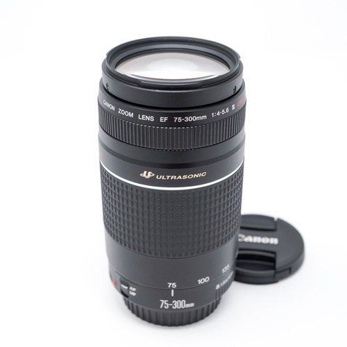 Canon 300mm 5 6 iii - 75-300mm, f/4-5.6