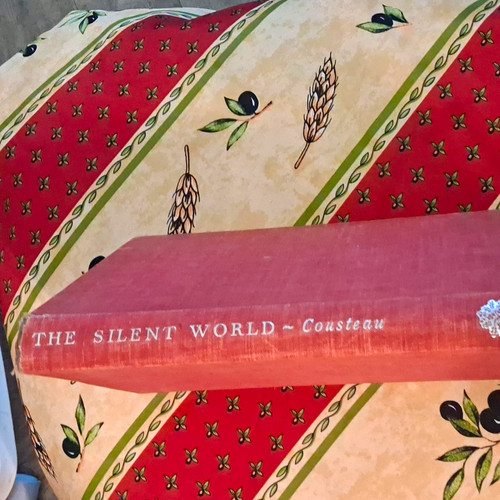 The silent world - silent, y