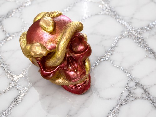 Resin snake skull - snake,