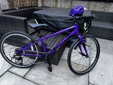 Giant ARX 20 child's bike - Purple