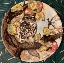 Gorgeous Coalport Fine Bone China Little Owl LE Plate By Michael B Sawdy?