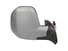 Exterior Mirror BLIC