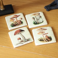 Ceramic Mushroom Coasters Set