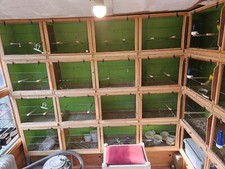 Double Canary Breeding Cages  With fronts