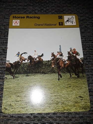 1977 sportscaster horse - 1977-79,