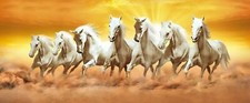 7 RUNNING HORSE ORANGE