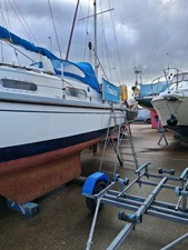 sailing boat    Snapdragon27