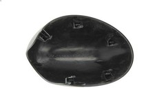 Side mirror cover BLIC