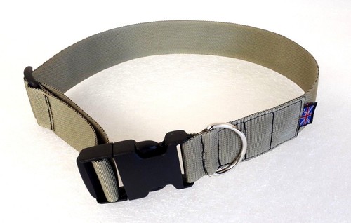 Magnetic healing dog - healing,