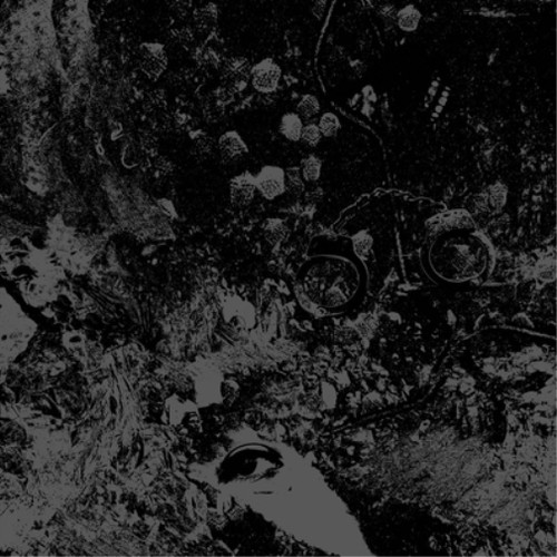 Primitive man unearthly trance - primitive,